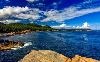 Marine Life in Maine: Whale Watching Adventures in South Bristol Peninsula