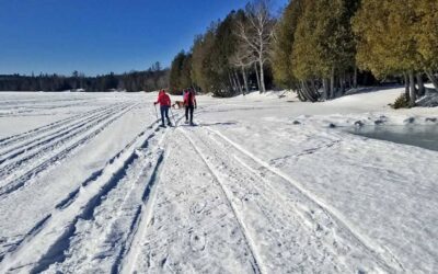 Top 5 Winter Activities Near Hawk’s House Inn for the Adventure Enthusiast